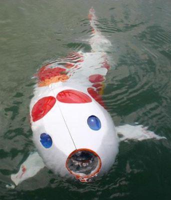 ::::::::- LIKE -:::::: - 530037182924465189200389166341n.jpg